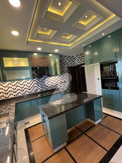 Brand New Full House (*Basement*+ Ground *+1st*floor*) Available For Rent