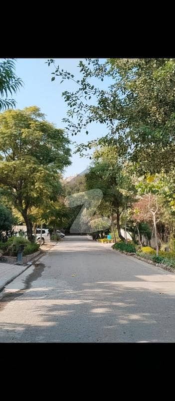 ڈی ایچ اے فیز 1 - سیکٹر ای ڈی ایچ اے ڈیفینس فیز 1,ڈی ایچ اے ڈیفینس,اسلام آباد میں 1 کنال رہائشی پلاٹ 3.25 کروڑ میں برائے فروخت۔