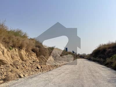 I-12/3 Nust back corner size 25x50 sun face