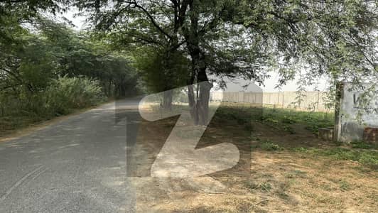 Farm House Land For Sale