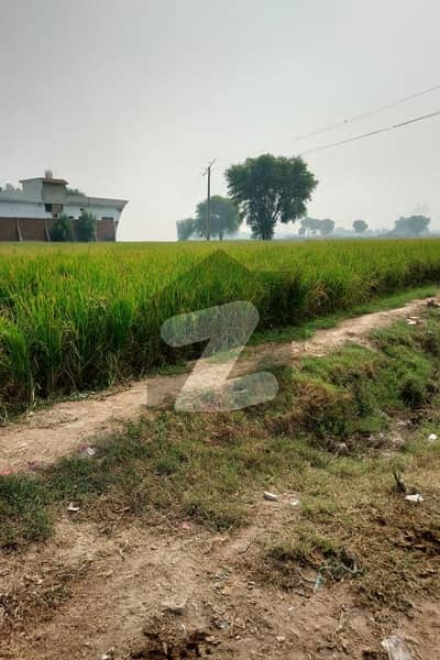 Prime 6 Acre (48 Kanal) Fertile Nahri Agricultural Land Moza Allahabad, Kabirwala | Ideal for Commercial & Agricultural Use | Gas & Electricity Available Prime 6 Acre (48 Kanal) Fertile Nahri Agricultural Land Moza Allahabad, Kabirwala | Ideal for Commercial & Agricultural Use | Gas & Electricity Available