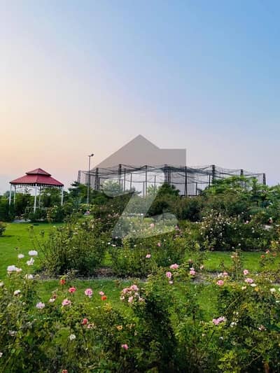 NORTH facing Near Masjid & Park Sector 3A1 Ideal Location for Construction NORTH facing Near Masjid & Park Sector 3A1 Ideal Location for Construction