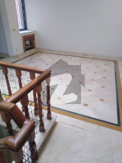 20 Marla Independent House Single Story Available For Rent In Model Town