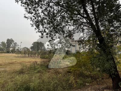 Prime Location 8 Marla plot for sale in Palm City Lahore Prime Location 8 Marla plot for sale in Palm City Lahore