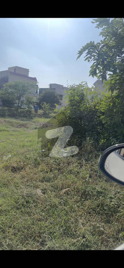 9 town A block 5 Marla 9 town A block 5 Marla