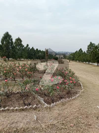 سی بی آر ٹاؤن فیز 1 ۔ ایگزیکٹو بلاک سی بی آر ٹاؤن فیز 1,سی بی آر ٹاؤن,اسلام آباد میں 7 مرلہ رہائشی پلاٹ 68.5 لاکھ میں برائے فروخت۔ سی بی آر ٹاؤن فیز 1 ۔ ایگزیکٹو بلاک سی بی آر ٹاؤن فیز 1,سی بی آر ٹاؤن,اسلام آباد میں 7 مرلہ رہائشی پلاٹ 68.5 لاکھ میں برائے فروخت۔