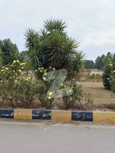 سی بی آر ٹاؤن فیز 1 - بلاک سی سی بی آر ٹاؤن فیز 1,سی بی آر ٹاؤن,اسلام آباد میں 14 مرلہ رہائشی پلاٹ 2.85 کروڑ میں برائے فروخت۔ سی بی آر ٹاؤن فیز 1 - بلاک سی سی بی آر ٹاؤن فیز 1,سی بی آر ٹاؤن,اسلام آباد میں 14 مرلہ رہائشی پلاٹ 2.85 کروڑ میں برائے فروخت۔