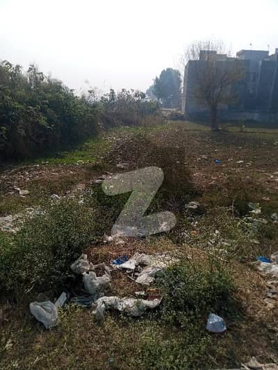 3 Marla residential plot for sale in original pictures and 100 . percent final price Formanites housing scheme Lahore near DHA phase 5 all facilities available 30 feat road please visit anytime contact abubakar joyia Shaheen property office location Formanites housing scheme Lahore 3 Marla residential plot for sale in original pictures and 100 . percent final price Formanites housing scheme Lahore near DHA phase 5 all facilities available 30 feat road please visit anytime contact abubakar joyia Shaheen property office location Formanites housing scheme Lahore