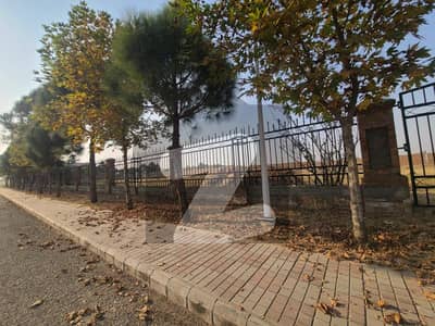 Gulberg Greens A block 5 kanal farmhouse plot Gulberg Greens A block 5 kanal farmhouse plot