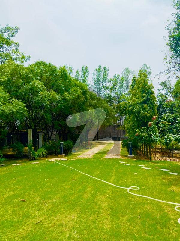 4 Acres Premium Agricultural/Commercial Land Bin Yusuf Properties 4 Acres Premium Agricultural/Commercial Land Bin Yusuf Properties