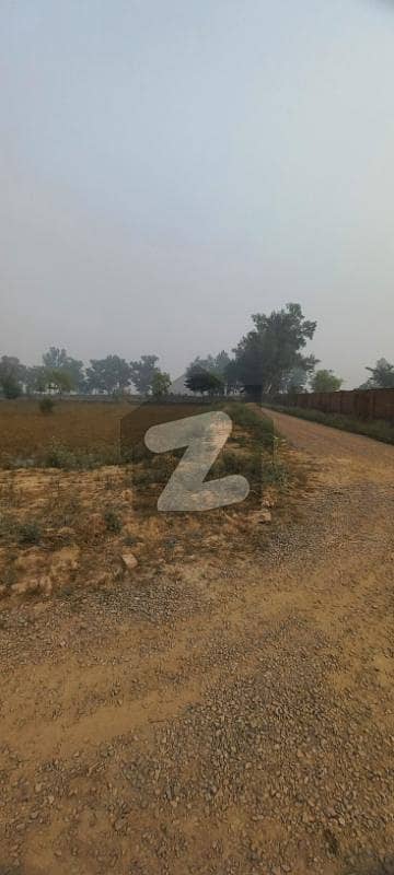 2 Acres Premium Agricultural/Commercial Land Bin Yusuf Properties 2 Acres Premium Agricultural/Commercial Land Bin Yusuf Properties