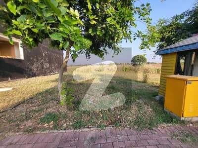 STREET 9 STARTING PLOT FOR SALE