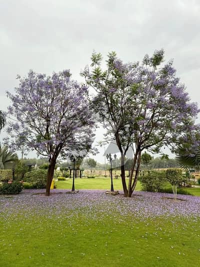 5 Marla Plot ( 25* 50 ) In Block G. Possession Plot Residential Plot Available For Sale In Top City-1 Islamabad. 5 Marla Plot ( 25* 50 ) In Block G. Possession Plot Residential Plot Available For Sale In Top City-1 Islamabad.