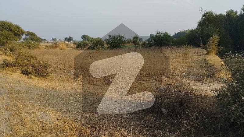 Argicultral Land Argicultral Land