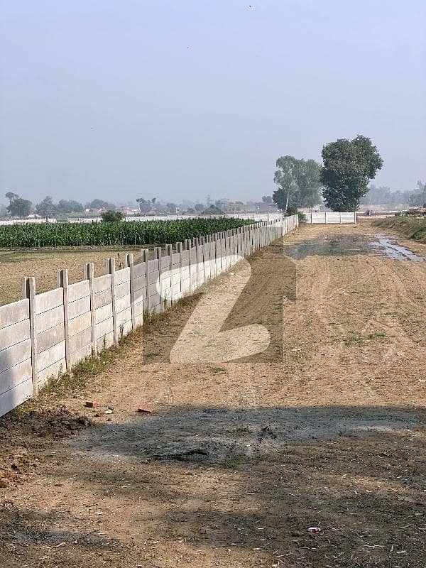 Agriculture Land For Farm House Agriculture Land For Farm House