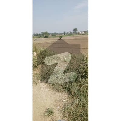 Prime Location Facing BRB Canal Carpeted Road Direct Access Best Option For Farmhouse