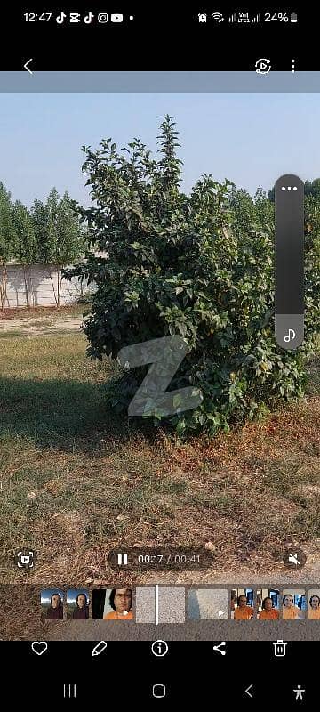 Plot for Sale Plot for Sale