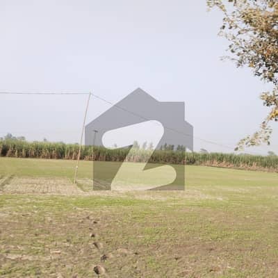 کوٹ رادھا کشن روڈ کوٹ رادھا کِشن,قصور میں 8 کنال زرعی زمین 55.0 لاکھ میں برائے فروخت۔