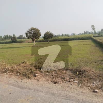 I sell 5 acre agricultural land in tehsil Chunian & Kot Radha Kishen