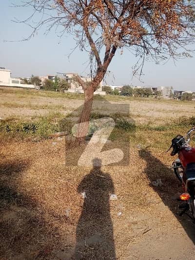 1 kanal DP pool Clear Plot in L Block Phase 6 Near Raya Urgent For sale
