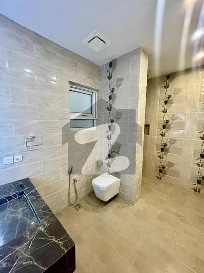 Beautiful Open Basement For Rent