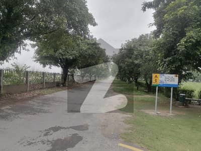 Spacious Residential Plot Is Available For Sale In Ideal Location Of Wapda City