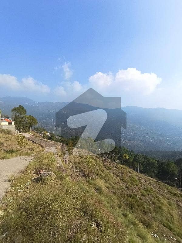 plot for sale plot for sale