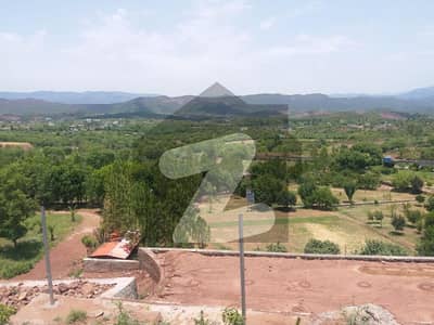 Sector E File For Sale