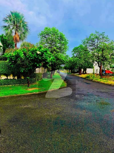 2 Kanal Plot In WAPDA City Faisalabad