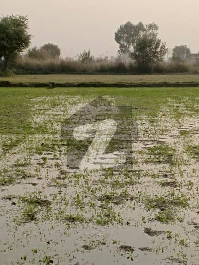 Dha phase 10 mozza kurashi Wala