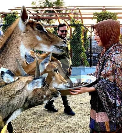 MPCHS Block F 446 GZ MDR Corner Plot For Sale MPCHS Block F 446 GZ MDR Corner Plot For Sale