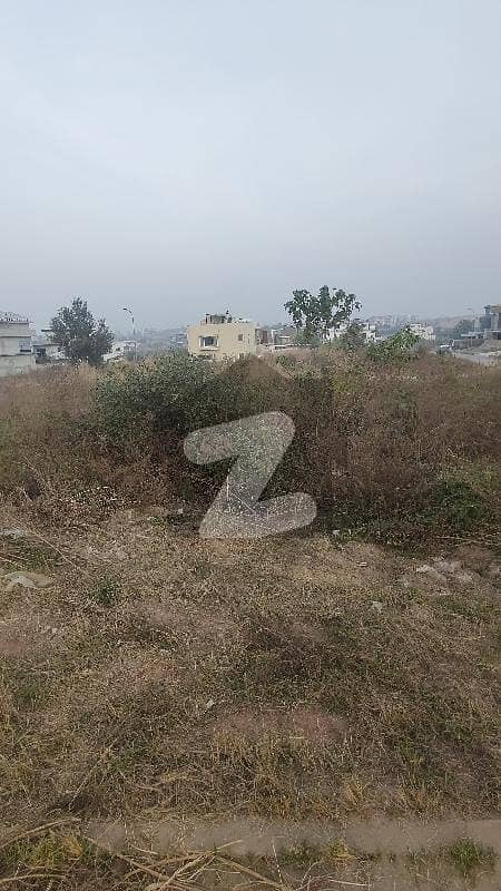 Good Location Plot For Sale Good Location Plot For Sale