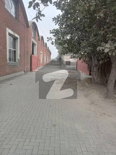 شیخوپورہ روڈ لاہور میں 11 کمروں کا 34 کنال گودام 20.0 لاکھ میں کرایہ پر دستیاب ہے۔