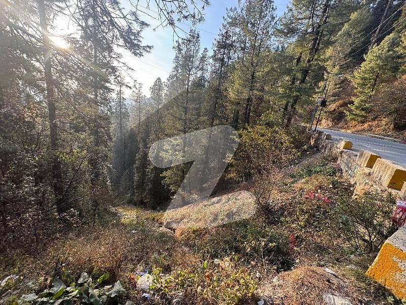 12 marla Commercial plot for sale main bazar Nathiagali 12 marla Commercial plot for sale main bazar Nathiagali