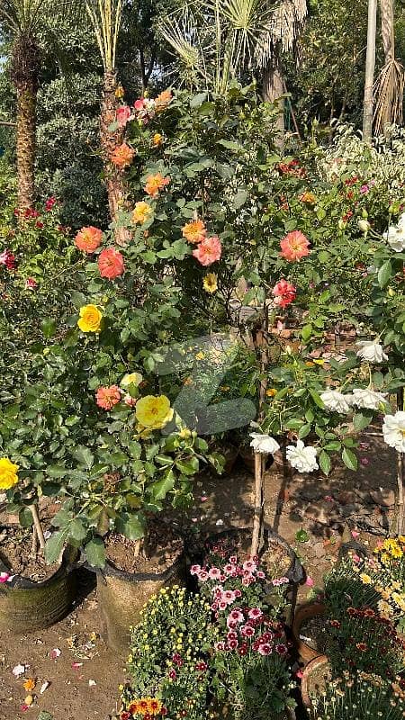 1 KANAL PLOT AVAILABLE AWT PH2 1 KANAL PLOT AVAILABLE AWT PH2