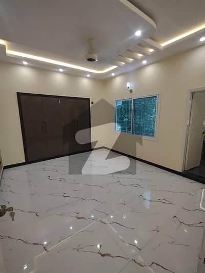 Beautiful New Portion