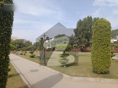 Chance Deal Best for Investors! Chance Deal Best for Investors!