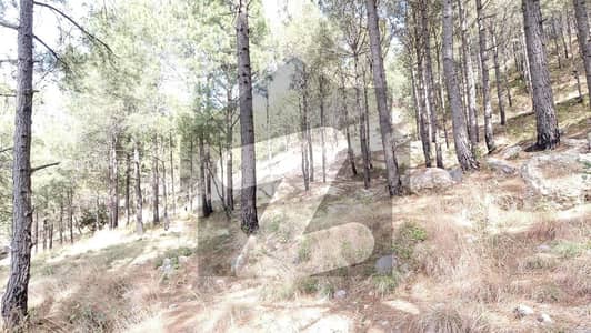 پائن سٹی ہاؤسنگ سوسائٹی پیر سوہاوا روڈ,پیر سوہاوا,اسلام آباد میں 1 کنال رہائشی پلاٹ 60.0 لاکھ میں برائے فروخت۔