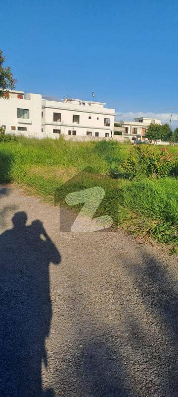 Gulberg green Block A 5 kanal at investor rate Gulberg green Block A 5 kanal at investor rate