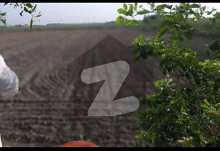 132 Acre Moroosi land for sale in Tobero Jati Sujawal