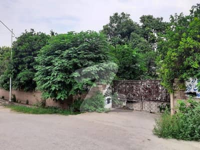 62 Marla plot [ University Town Peshawar