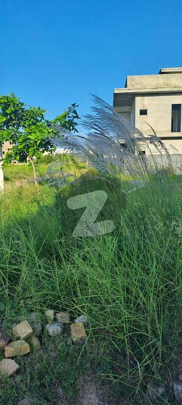 A Block 10 Marla possessionable plot at investor rate