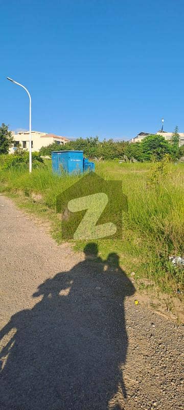 Desirable 5 kanal DP plot in D block at investor rate Desirable 5 kanal DP plot in D block at investor rate