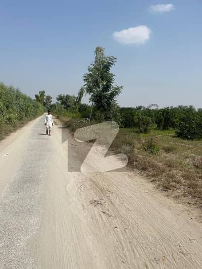 Bhakkar Orchard Estate 11 Acres (For Sale) Kirari Kot, Bhakkar Pakistan - A rare opportunity to own a fertile, irrigated, road-front agricultural asset with future development potential. Bhakkar Orchard Estate 11 Acres (For Sale) Kirari Kot, Bhakkar Pakistan - A rare opportunity to own a fertile, irrigated, road-front agricultural asset with future development potential.