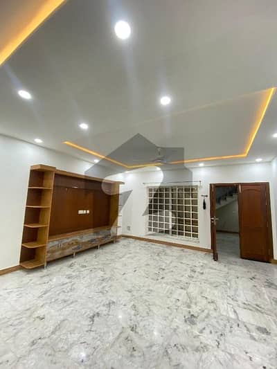 Ground lower Portion For rent