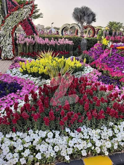 ڈی ایچ اے فیز 7 - بلاک یو فیز 7,ڈیفنس (ڈی ایچ اے),لاہور میں 10 مرلہ رہائشی پلاٹ 2.25 کروڑ میں برائے فروخت۔ ڈی ایچ اے فیز 7 - بلاک یو فیز 7,ڈیفنس (ڈی ایچ اے),لاہور میں 10 مرلہ رہائشی پلاٹ 2.25 کروڑ میں برائے فروخت۔