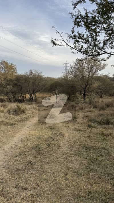 دیگر چکوال میں 104 کنال زرعی زمین 1.77 کروڑ میں برائے فروخت۔ دیگر چکوال میں 104 کنال زرعی زمین 1.77 کروڑ میں برائے فروخت۔