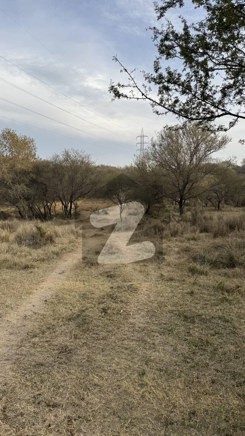 دیگر چکوال میں 104 کنال زرعی زمین 1.77 کروڑ میں برائے فروخت۔ دیگر چکوال میں 104 کنال زرعی زمین 1.77 کروڑ میں برائے فروخت۔