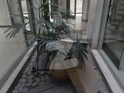 Knaal Prime location, slightly used 5 bed house available for rent in dha phase 4 DD block