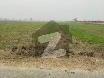 Bedian Road Prime Agricultural Land (4 Acres) | Future DHA Phase 10 | 2.10 Crore per Acre Bedian Road Prime Agricultural Land (4 Acres) | Future DHA Phase 10 | 2.10 Crore per Acre